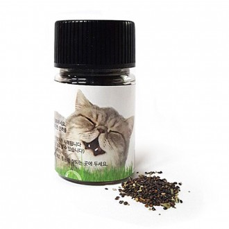 Healing Time Cat Hạt giống Catnip số lượng lớn 10g