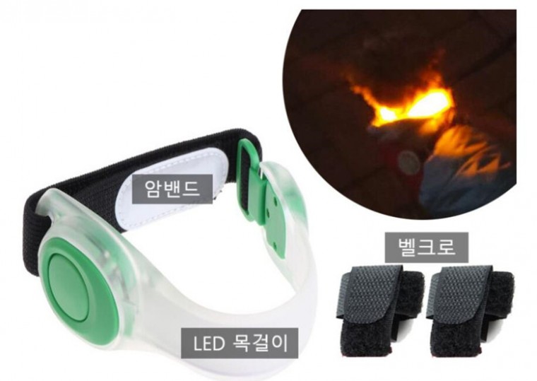 Vòng cổ đeo tay có đèn LED phát sáng cho chó đi dạo ban đêm + Velcro