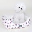 Choco Pet House Crayon Star Square Cushion (Xanh dương)