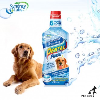 Synergy Lab Dental Fresh Dog Advanced White 503ml (chăm sóc răng miệng trong nước)