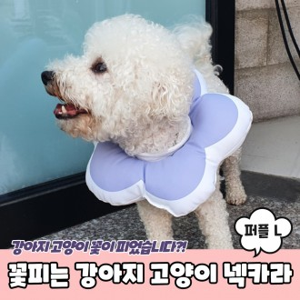 Blooming Dog Cat Đệm cổ cổ màu tím L