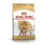 [Lup Pet] Thức ăn cho chó Poodle Royal Canin Poodle trưởng thành 1,5kg dành cho trẻ từ 10 tháng tuổi trở lên