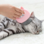 Cat Healing Brush Massage Groomer Tẩy lông chết