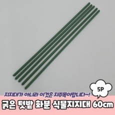 Chậu trồng cây dày JPA hỗ trợ trồng cây 60cm 5P