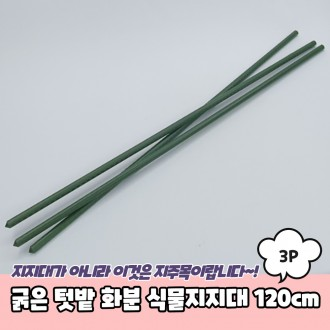 Chậu trồng cây dày JPA 120cm 3P