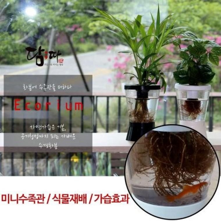 DAMDDA Trong nước Ecorium Aquarium Lọ hoa Thủy canh Máy tạo độ ẩm Bể cá mini