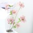 Magic Clean Rugosa Rose Branch Indie Hồng 1P