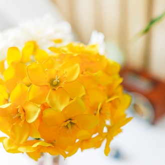 Magic Clean Daffodil Vàng Nhân Tạo 6P