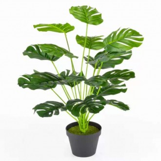 Hoa giả trang trí Cây nhân tạo Monstera 1 cây