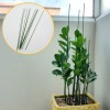 Chậu hoa sân vườn đỡ cây 80cm 10P