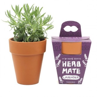 Bộ dụng cụ trồng chậu trồng cây đồng hành Cây trồng đồng hành Herb Mate