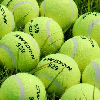 Bóng tennis tập luyện chính hãng swidon 929 (12 quả)