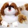 Doll Wither Pet Shih Tzu Đính kèm Phụ kiện nội thất Quà tặng cho trẻ em