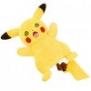 Pokemon Quay Pikachu Đồ Chơi Sang Trọng