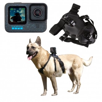 Dây đeo chụp chó action cam tương thích GoPro 12