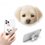 Sugar Cat & Candy Doggy Dog Acrylic Talk Labrador Retriever Bơ Pet Cat Sản xuất Giá đỡ tay cầm Smart Talk